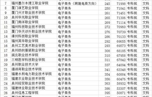 大专学历的电子商务专业