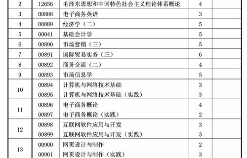 电子商务专业本科规划