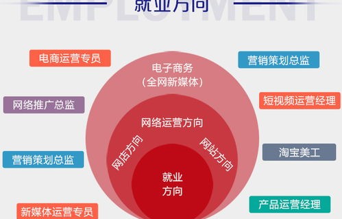 电子商务专业类都有什么
