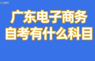 自考电子商务专业怎么学