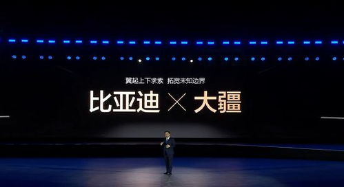 比亚迪全品牌搭载无人机系统
