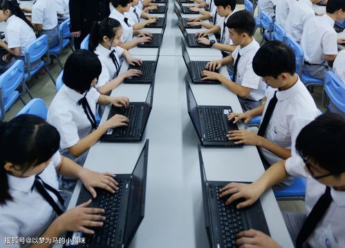 电子商务建议报考吗专业