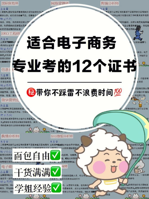 电子商务专业考研容易吗