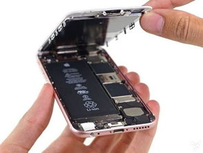 中国组装美iPhone产线疑似停工？厂商紧急回应，非事实，生产稳定进行