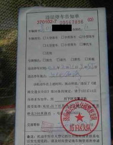 重庆荣昌区委书记：交警不是贴罚单的
