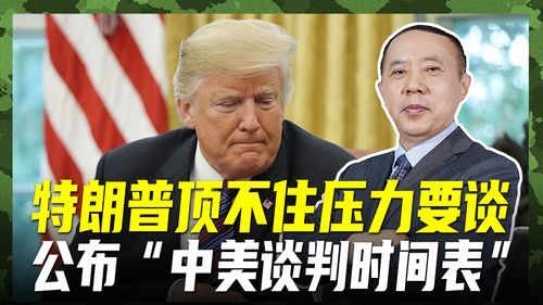 大V：中美关税战特朗普输的一点不冤