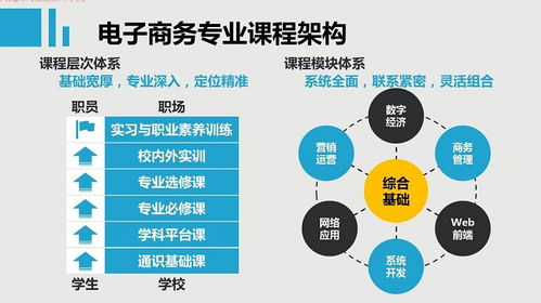 电子商务专业技能培养
