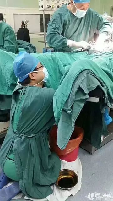 新婚男子做生殖手术次日身亡