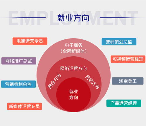 电子商务专业的求职方向