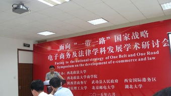 电子商务及法律专业论文