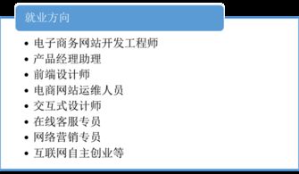 软件专业属于电子商务吗