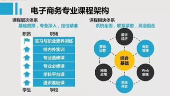 电子商务专业用什么系统