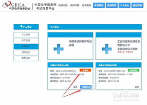 电子商务专业考试怎么过