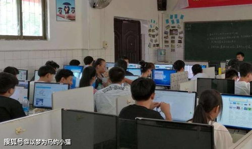 成考专业电子商务怎么样