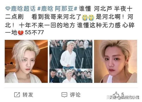 你认为鹿晗状态回春的原因是什么