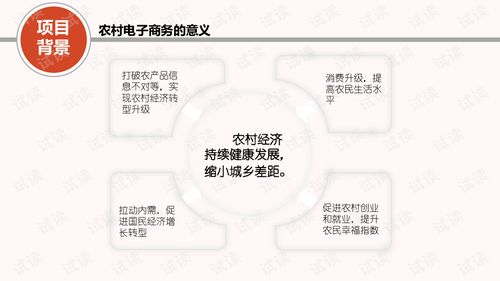 电子商务专业村建没方案