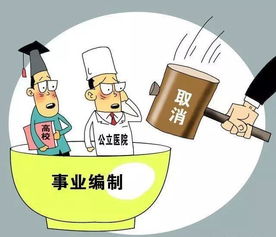 孕期公务员分派工作给合同工引发热议，职场平衡与责任担当的探讨