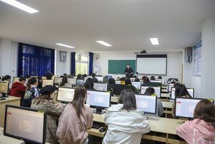 学电子商务专业能当网红