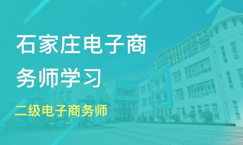电子商务师什么类专业好
